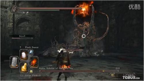 ���ڰ�֮��2��Aldia Bossս��Ƶ��ʾ ��ַ���