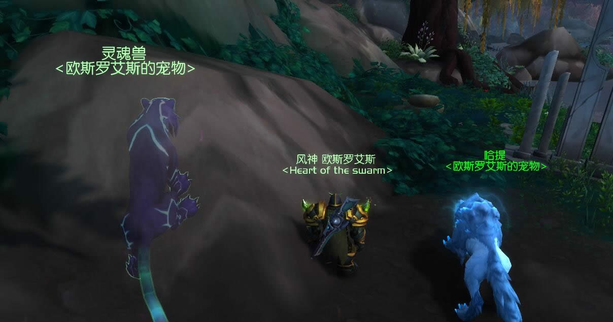 爱猫猎人福利：7.0苏拉玛秘刃豹灵魂兽坐标