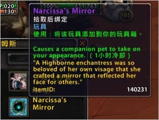 魔兽世界7.0新道具:将宠物变成自己的样子