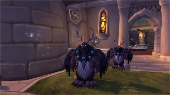 魔兽世界7.0新道具:将宠物变成自己的样子