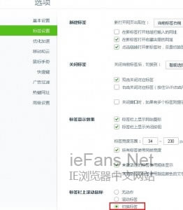 360浏览器切换标签快捷键与鼠标快速切换技巧