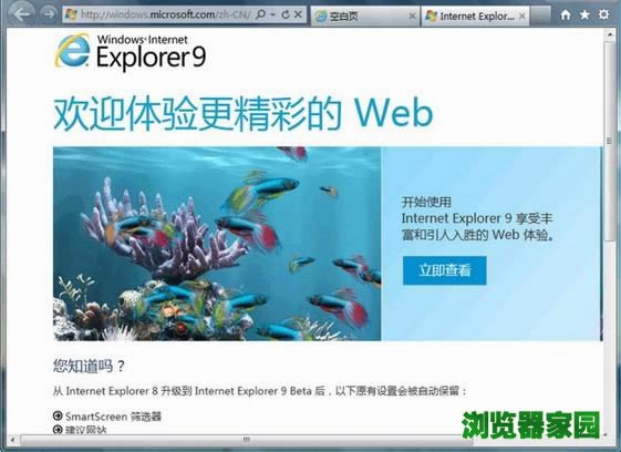 ie9中文版官方正式版下载xp 32位完整版下载