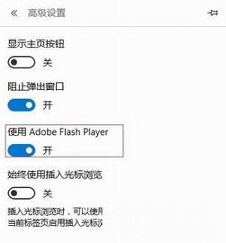 edge浏览器 flash开启了却不能播放如何回事